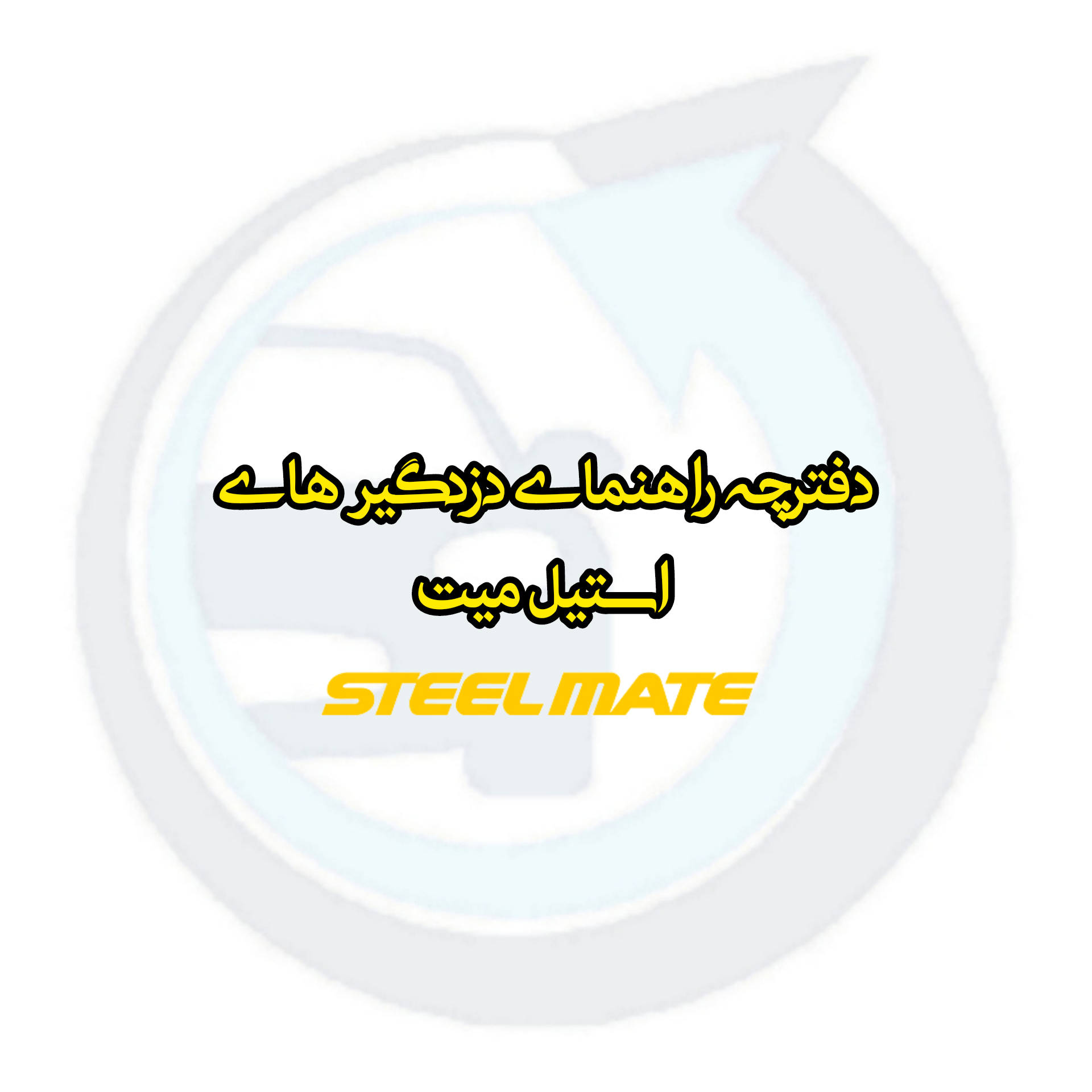 دفترچه راهنمای دزدگیر استیل میت